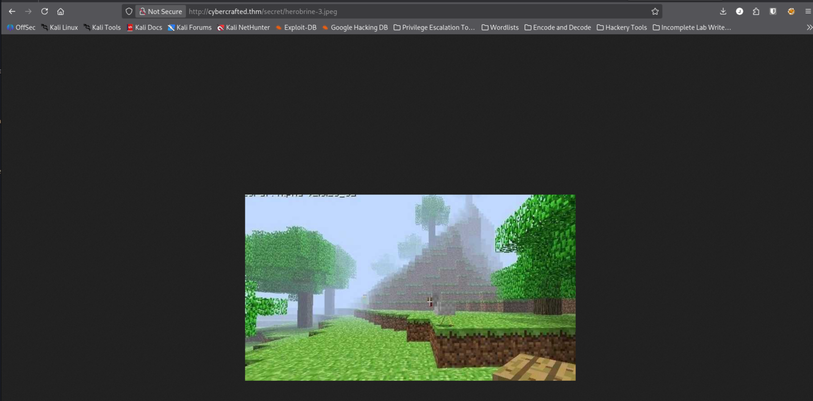 herobrine-3.jpg opened in browser